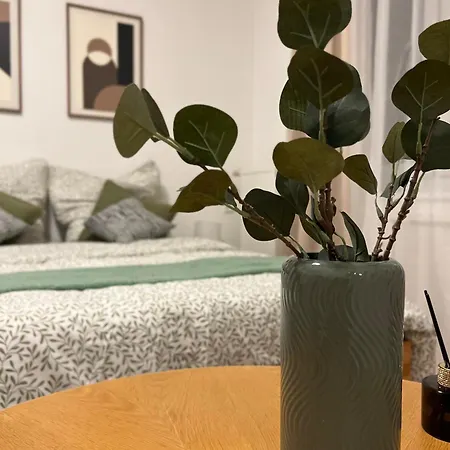Appartement Elegant In Pionierstrasse Düsseldorf